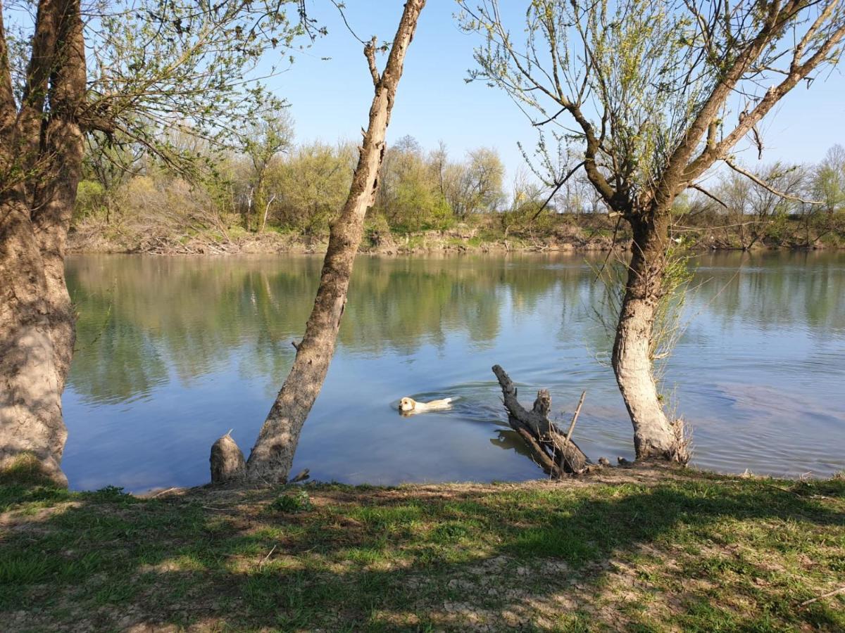 Guest House Studio Apartman Marina - With Jacuzzi, Free Parking, Pet Friendly Karlovac Exterior photo